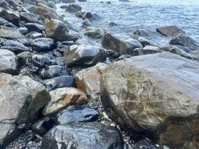 大月エコロジーキャンプ場