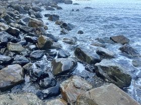 大月エコロジーキャンプ場