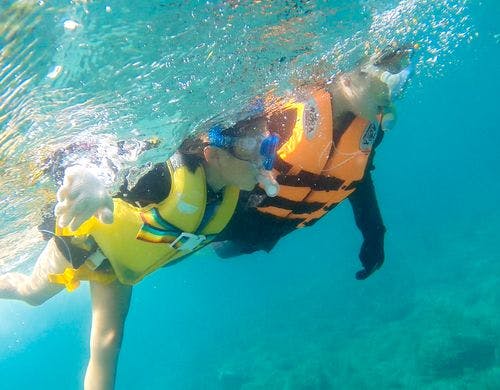 シュノーケリングで海の生き物を触れ合う