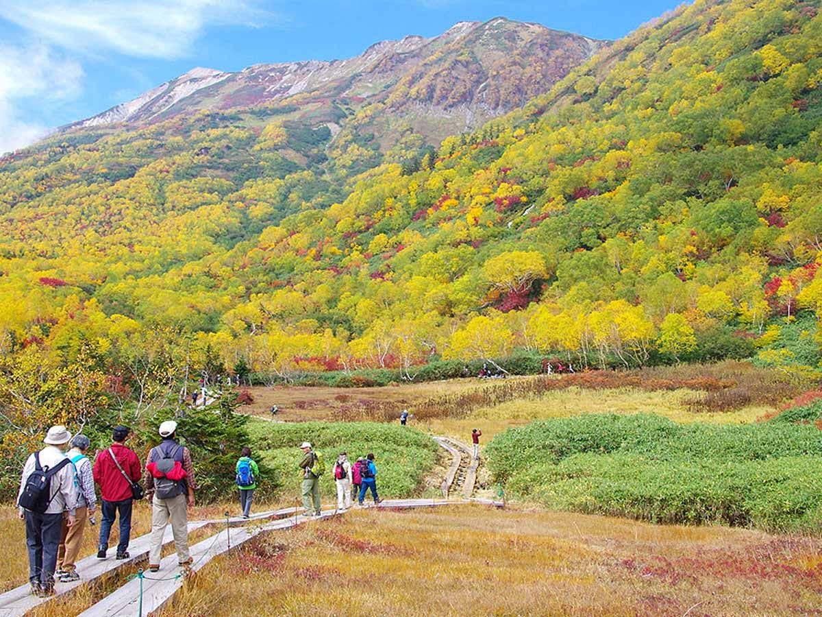 ฮาคุบะ สึกาอิเคะ ชิเซ็นเอ็น