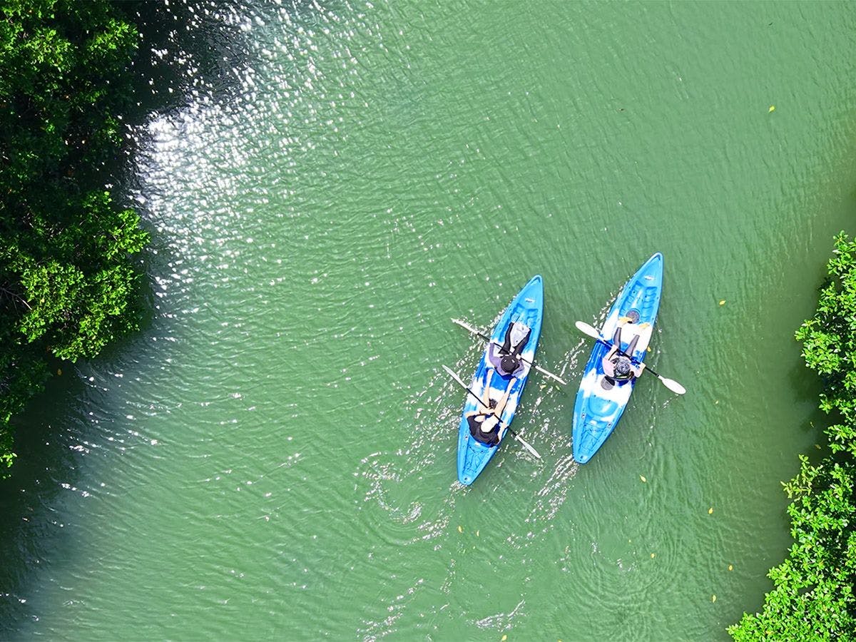 พายเรือแคนูครั้งแรก? ไม่ต้องกังวล เราจะสอนวิธีพายให้
