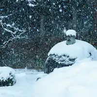 พระพุทธรูปหินมันจิ
