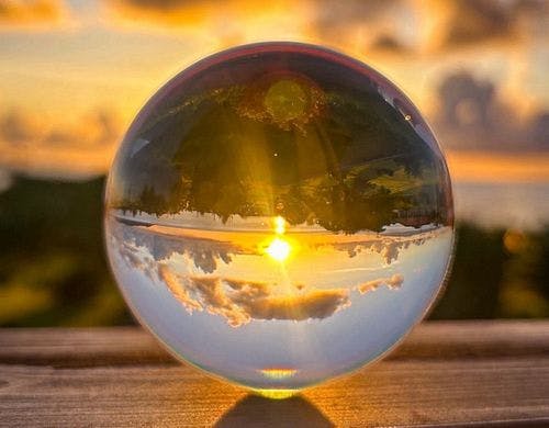 客室・テラスからの景色