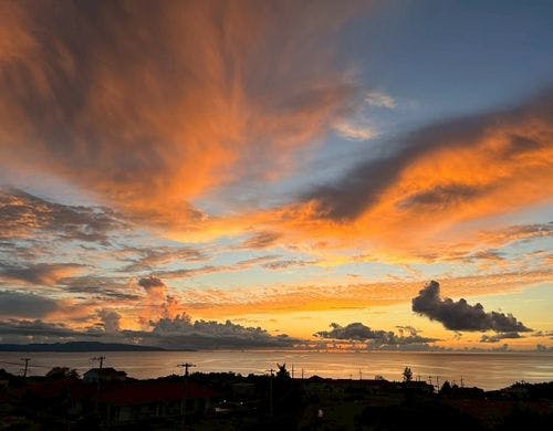 客室・テラスからの景色