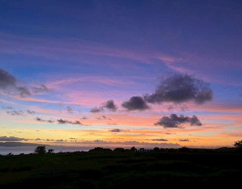 客室・テラスからの景色