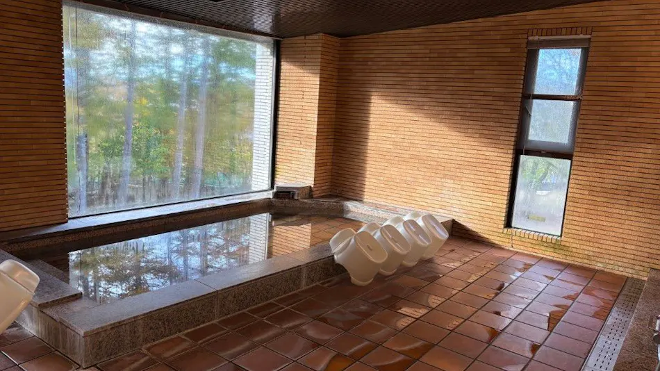 Yamanakako House