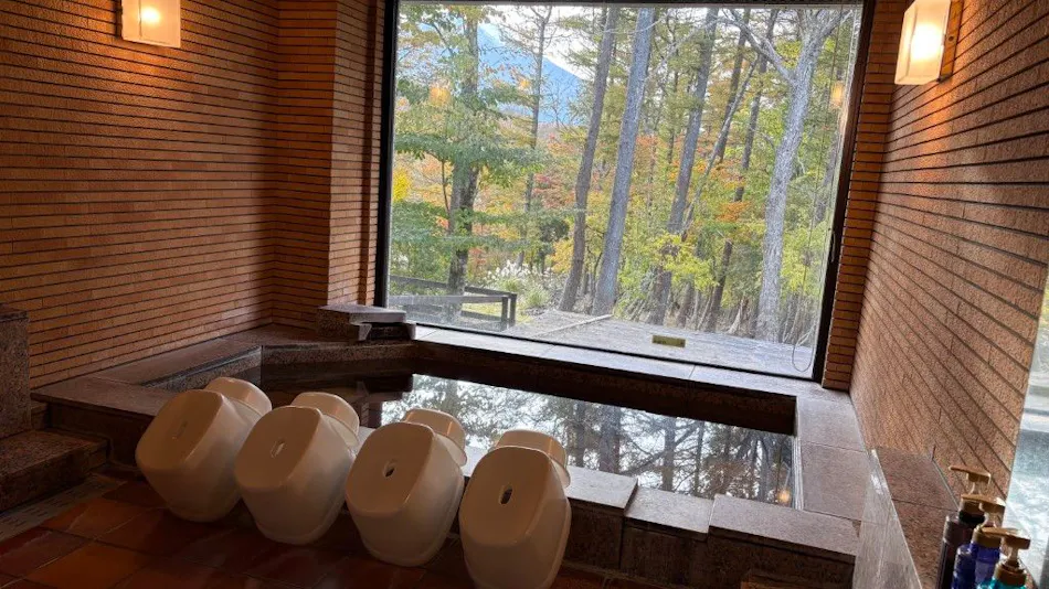 Yamanakako House