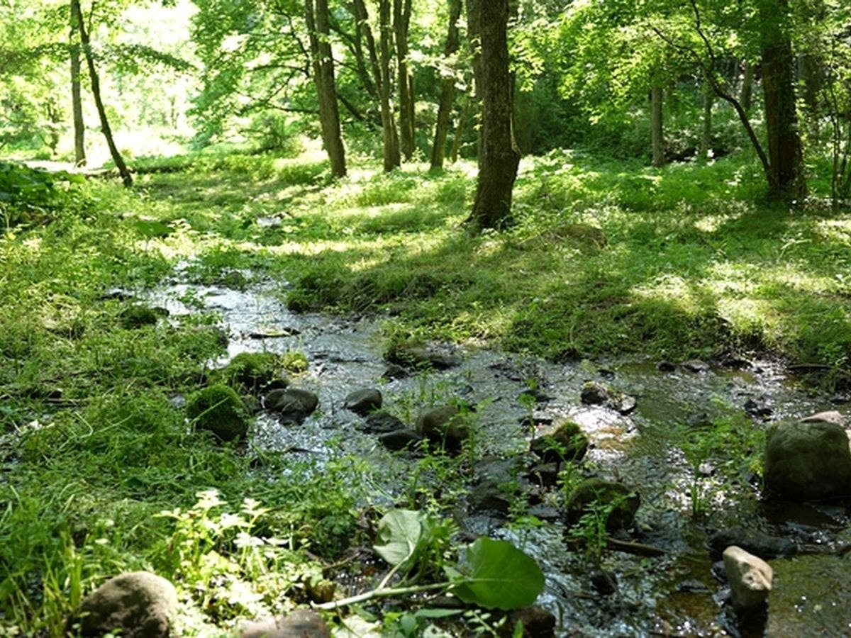 Arsoa Megami no Mori - Bi Wellness Garden