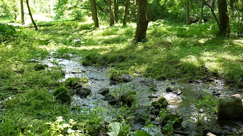 Arsoa Megami no Mori - Bi Wellness Garden