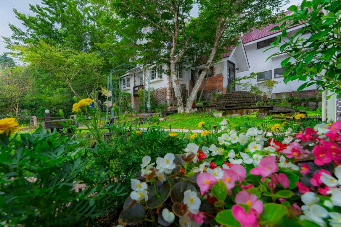 Accommodation with In-Room Dining for Breakfast and Dinner - Poco a Poco