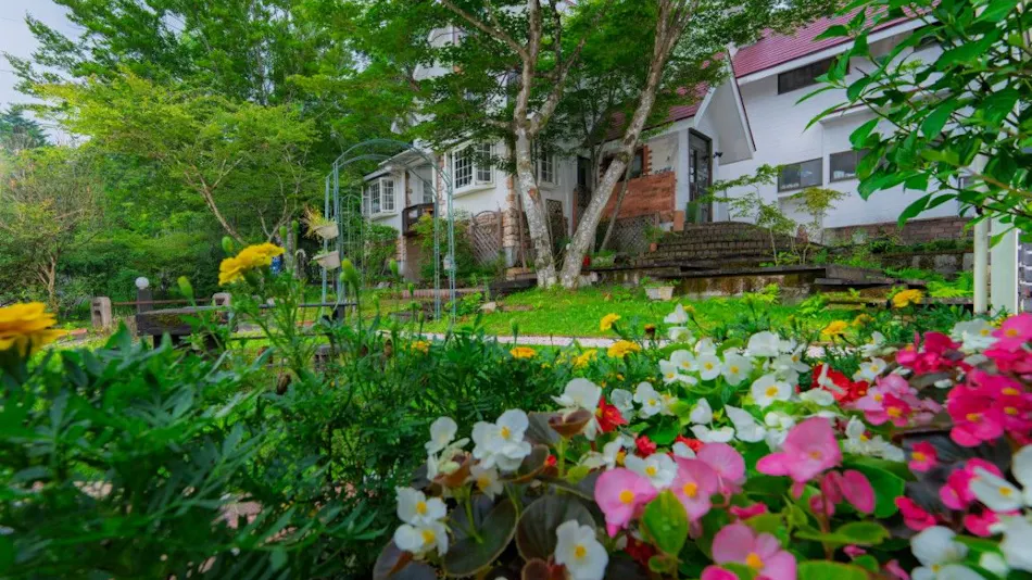 Accommodation with In-Room Dining for Breakfast and Dinner - Poco a Poco