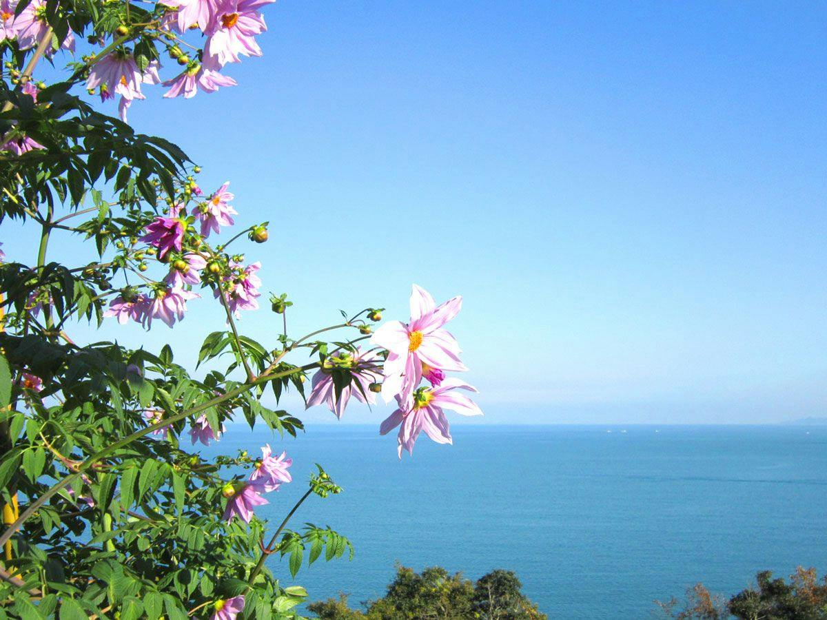 Seto no Hana