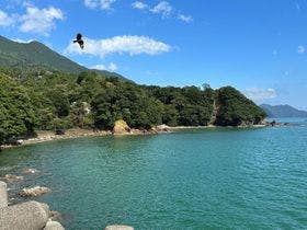 ホテル　ビオラ