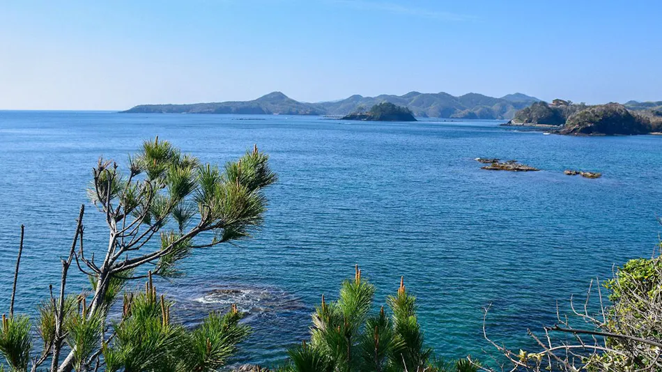 Tonosaki Bungalows & BBQ