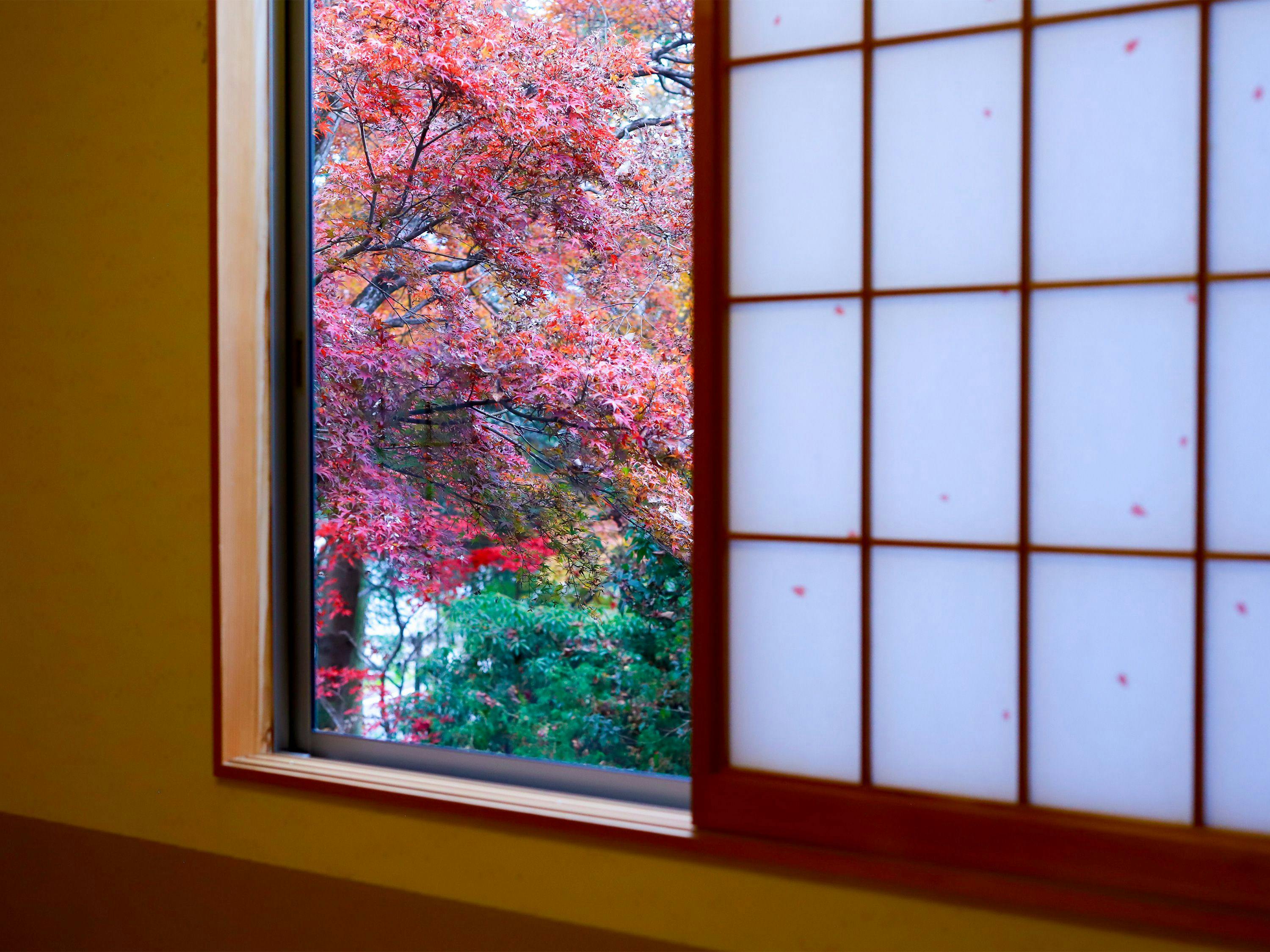 Yufuin Onsen 8A1 (Yaeichi)