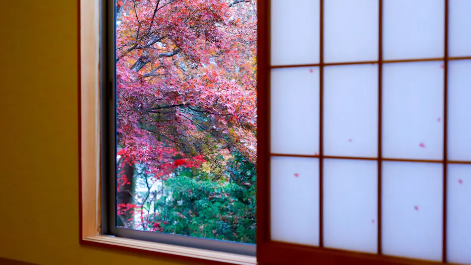 Yufuin Onsen 8A1 (Yaeichi)