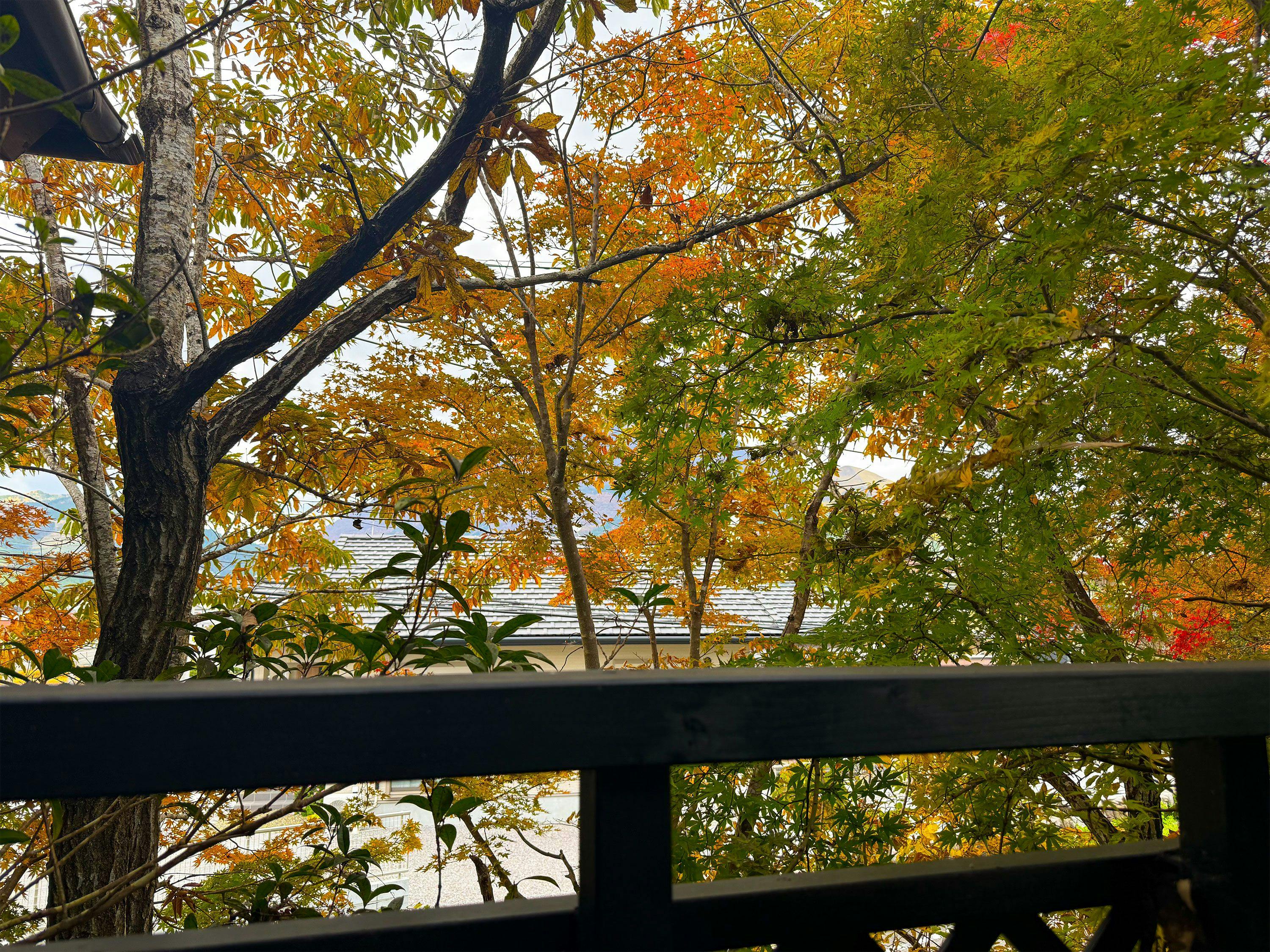Yufuin Onsen 8A1 (Yaeichi)