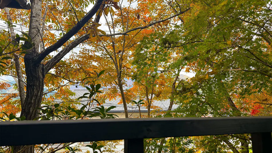 Yufuin Onsen 8A1 (Yaeichi)