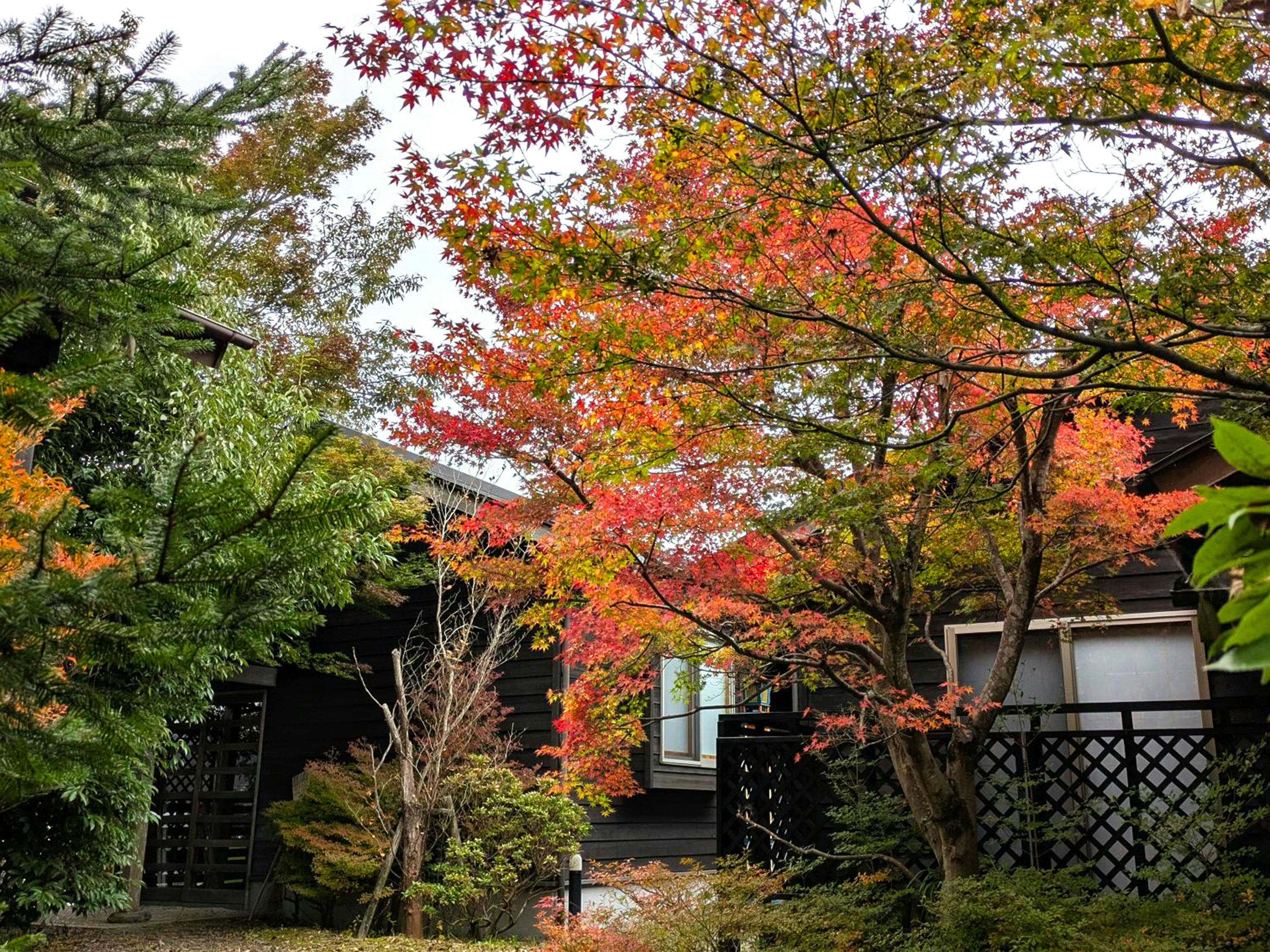Yufuin Onsen 8A1 (Yaeichi)