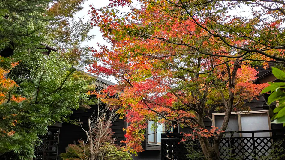 Yufuin Onsen 8A1 (Yaeichi)