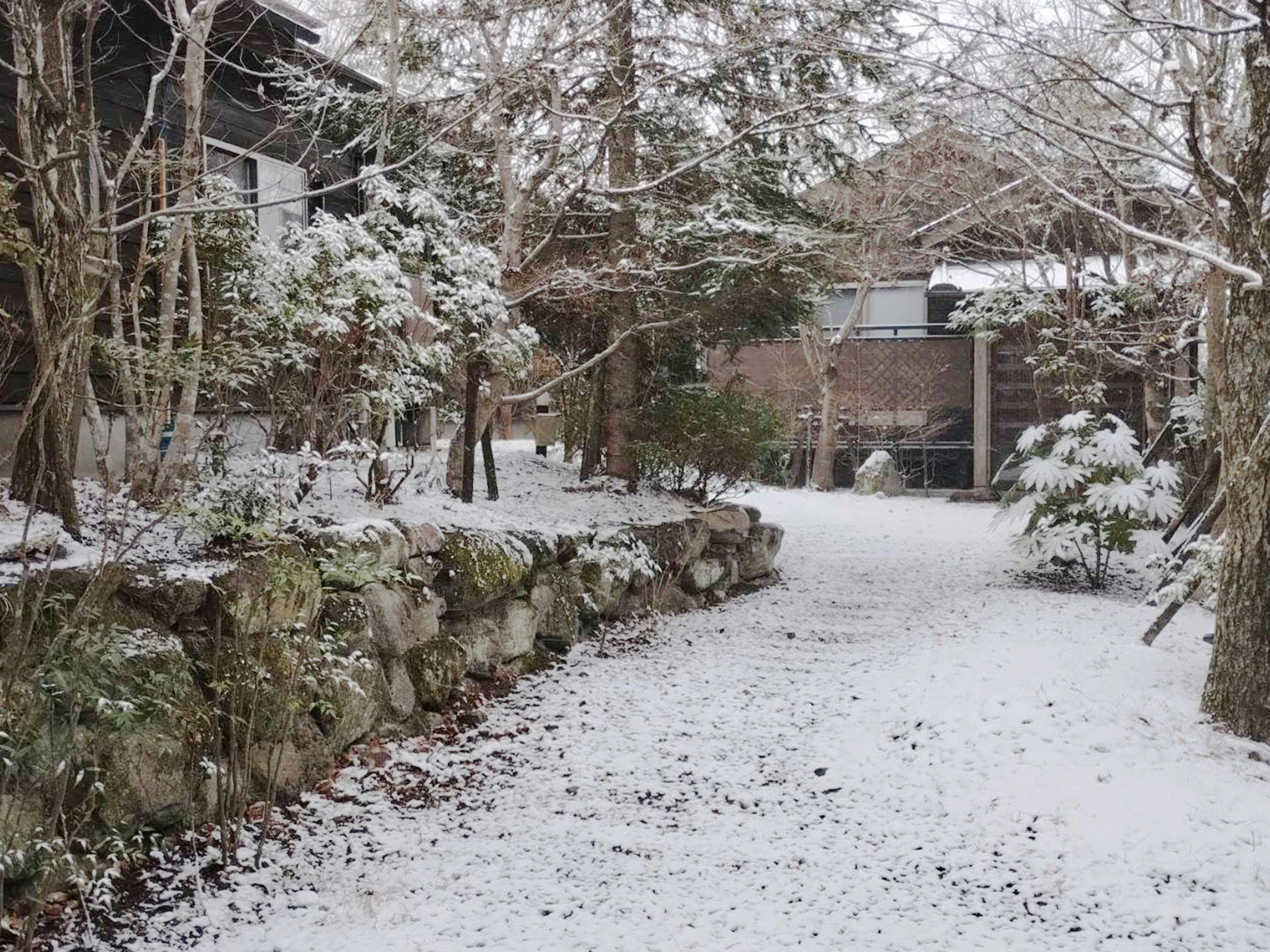 Yufuin Onsen 8A1 (Yaeichi)