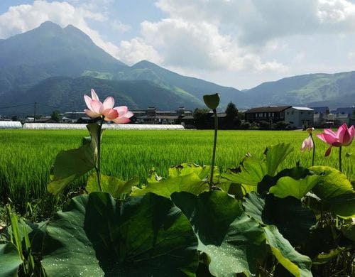 周辺風景
