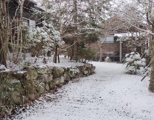 ある雪の一日