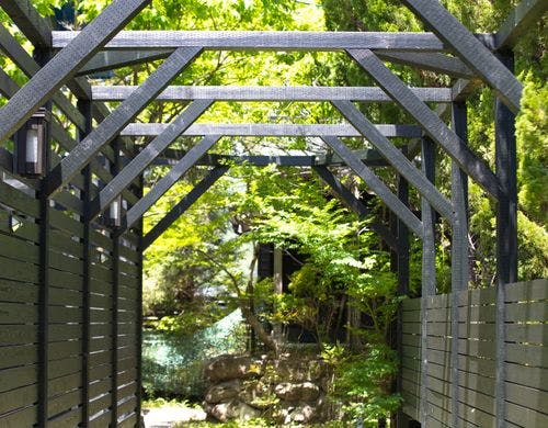 新緑の風景