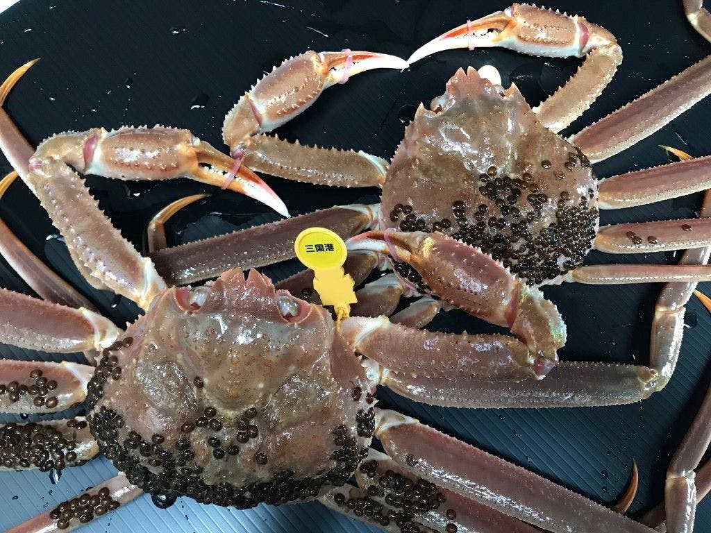 Itamoto Accommodation