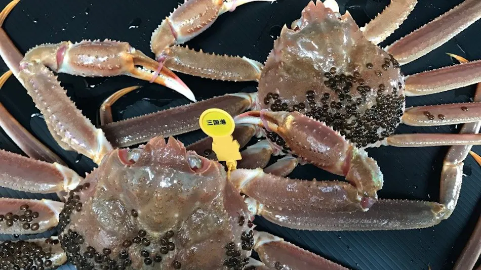 Itamoto Accommodation