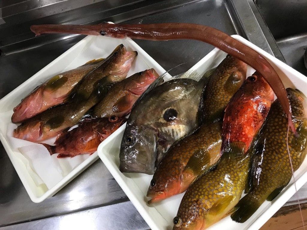 Itamoto Accommodation