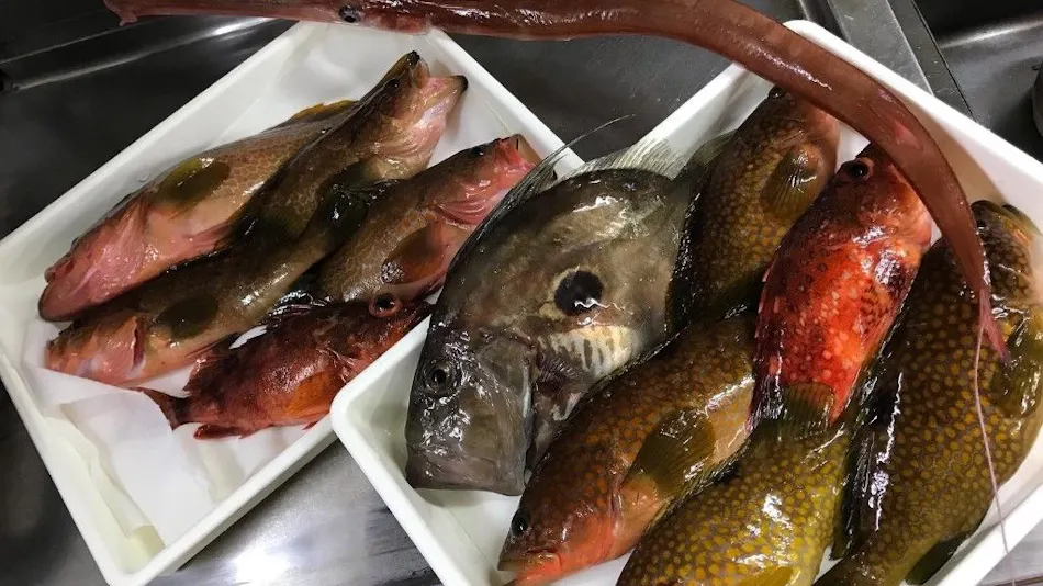 Itamoto Accommodation