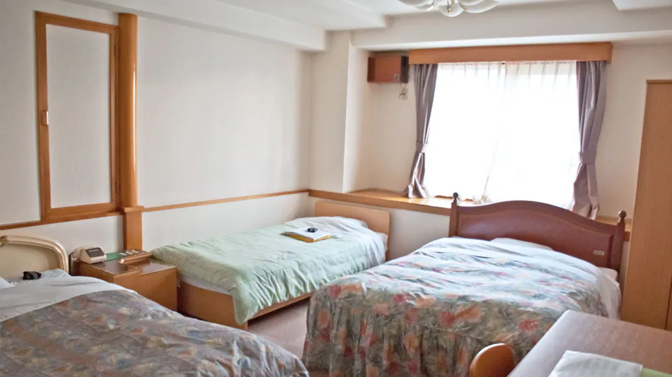 Business Hotel Plum Field