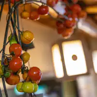 ภาพบรรยากาศภายในที่พัก