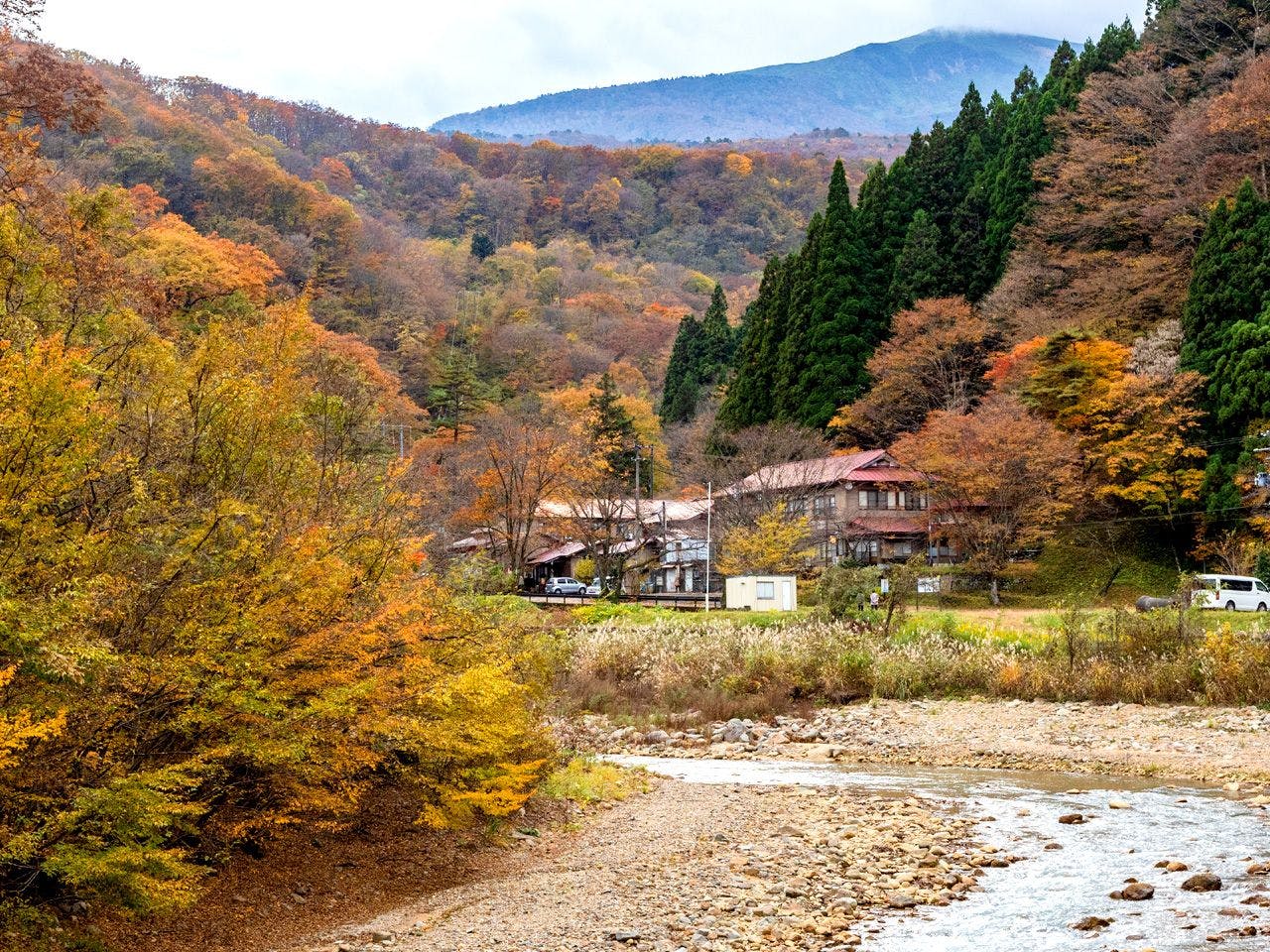 ภายนอกอาคาร (ฤดูใบไม้ร่วง)