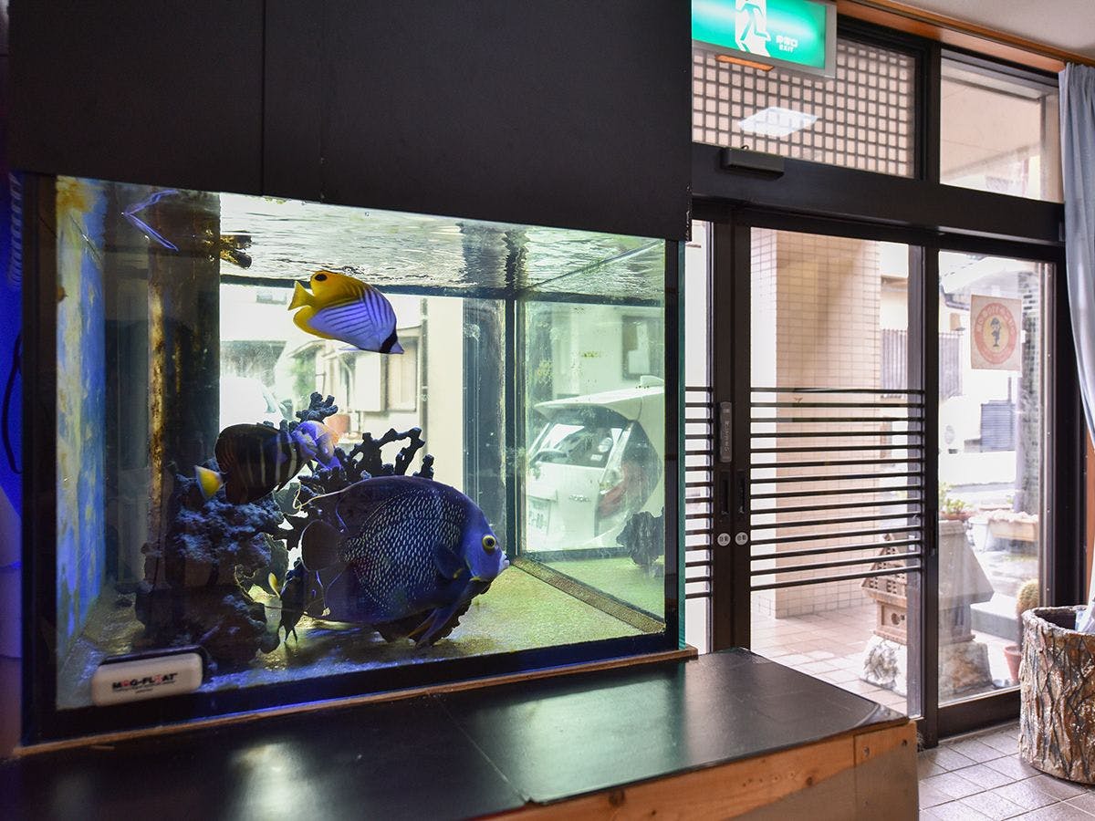 *Akuarium di resepsionis　Ikan-ikan tropis menyambut Anda♪