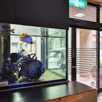 *Akuarium di resepsionis Ikan-ikan tropis menyambut Anda♪