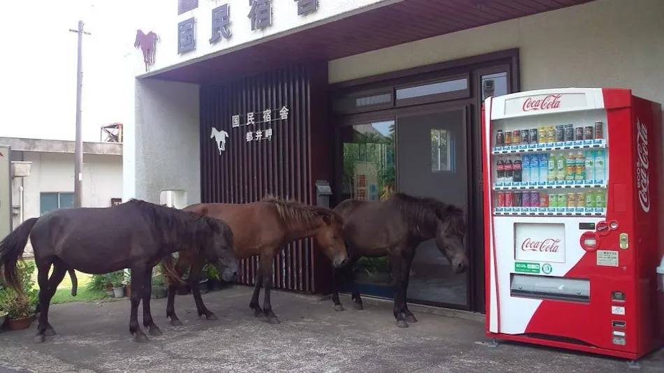 Accommodation Toimisaki National Lodge