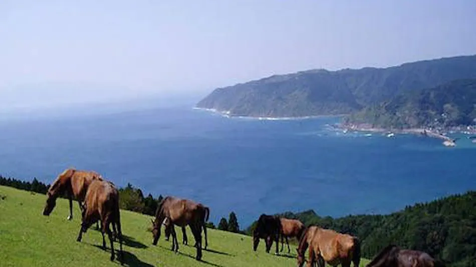 Accommodation Toimisaki National Lodge