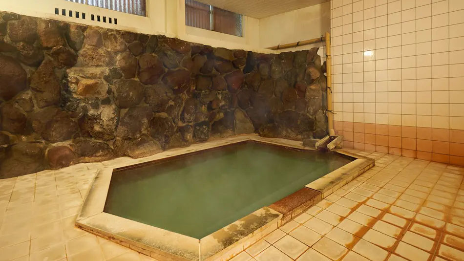 Onsen Hotel Gorakan
