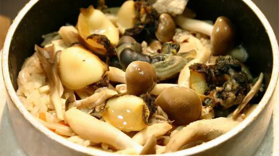 Matsuya, an Accommodation Serving Seafood Cuisine
