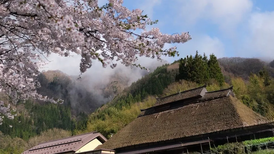 Yakimochiya
