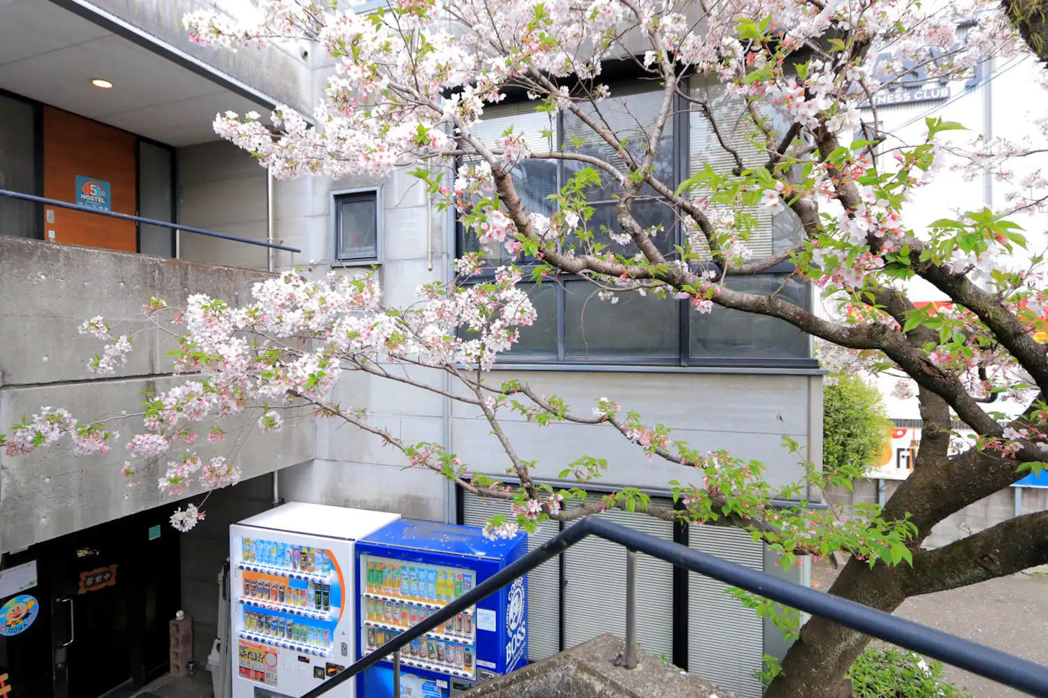 施設画像