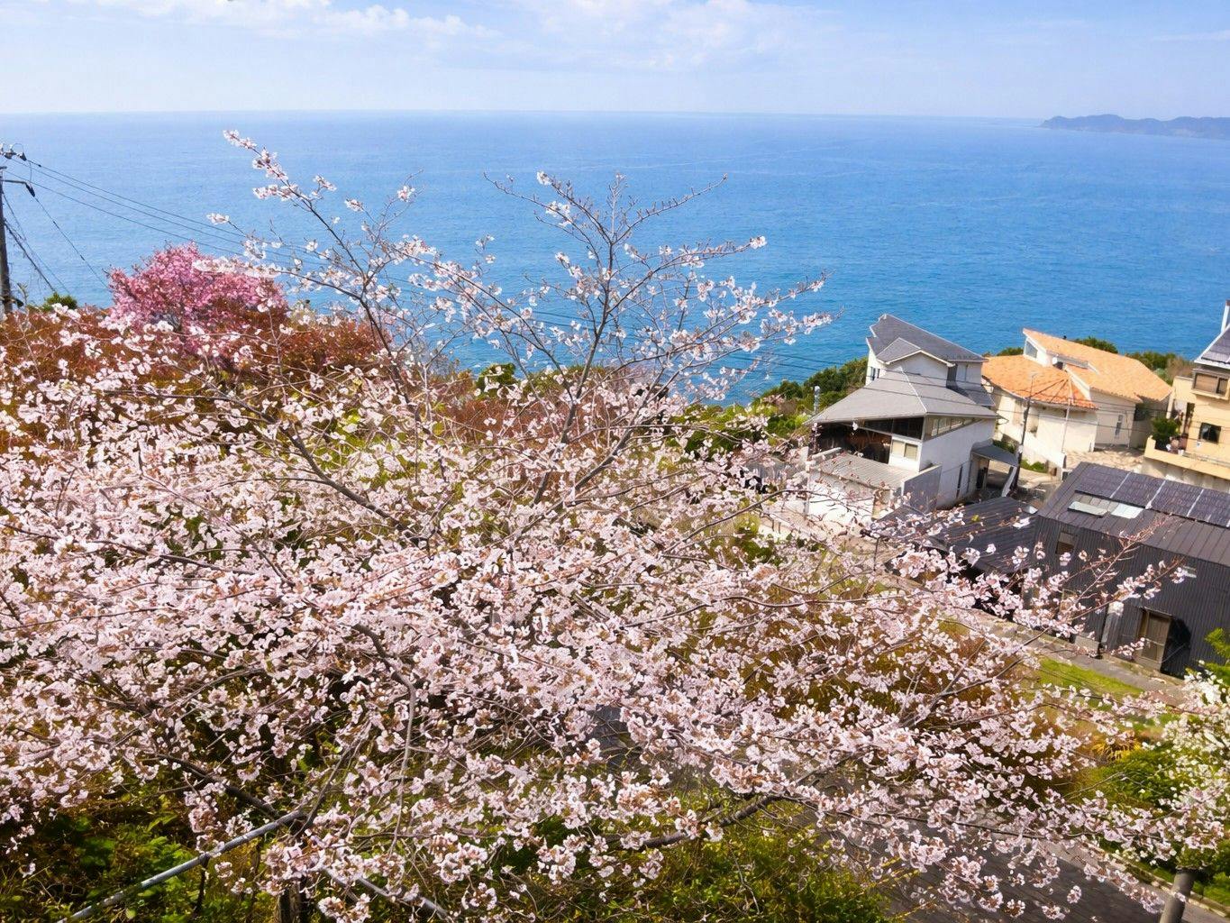 Ocean Villa Umi Terrace Futtsu