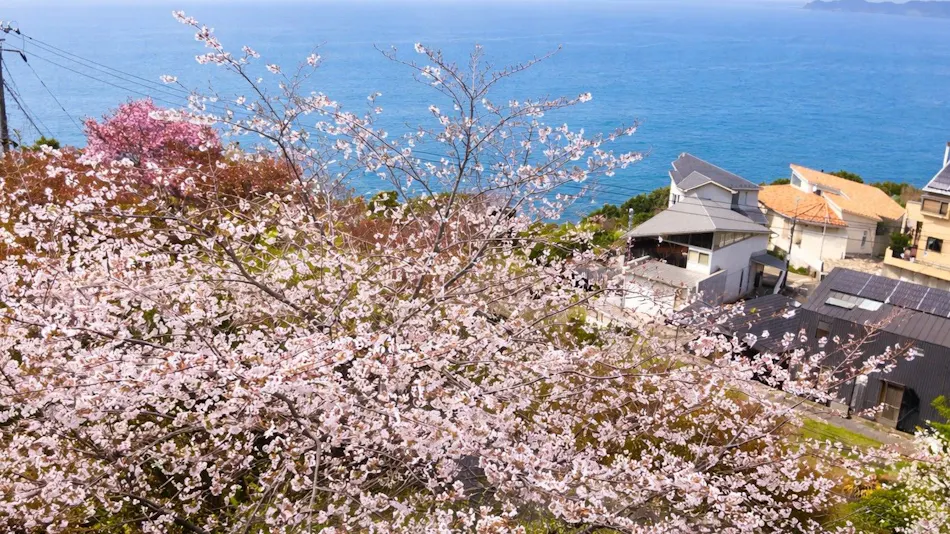 Ocean Villa Umi Terrace Futtsu