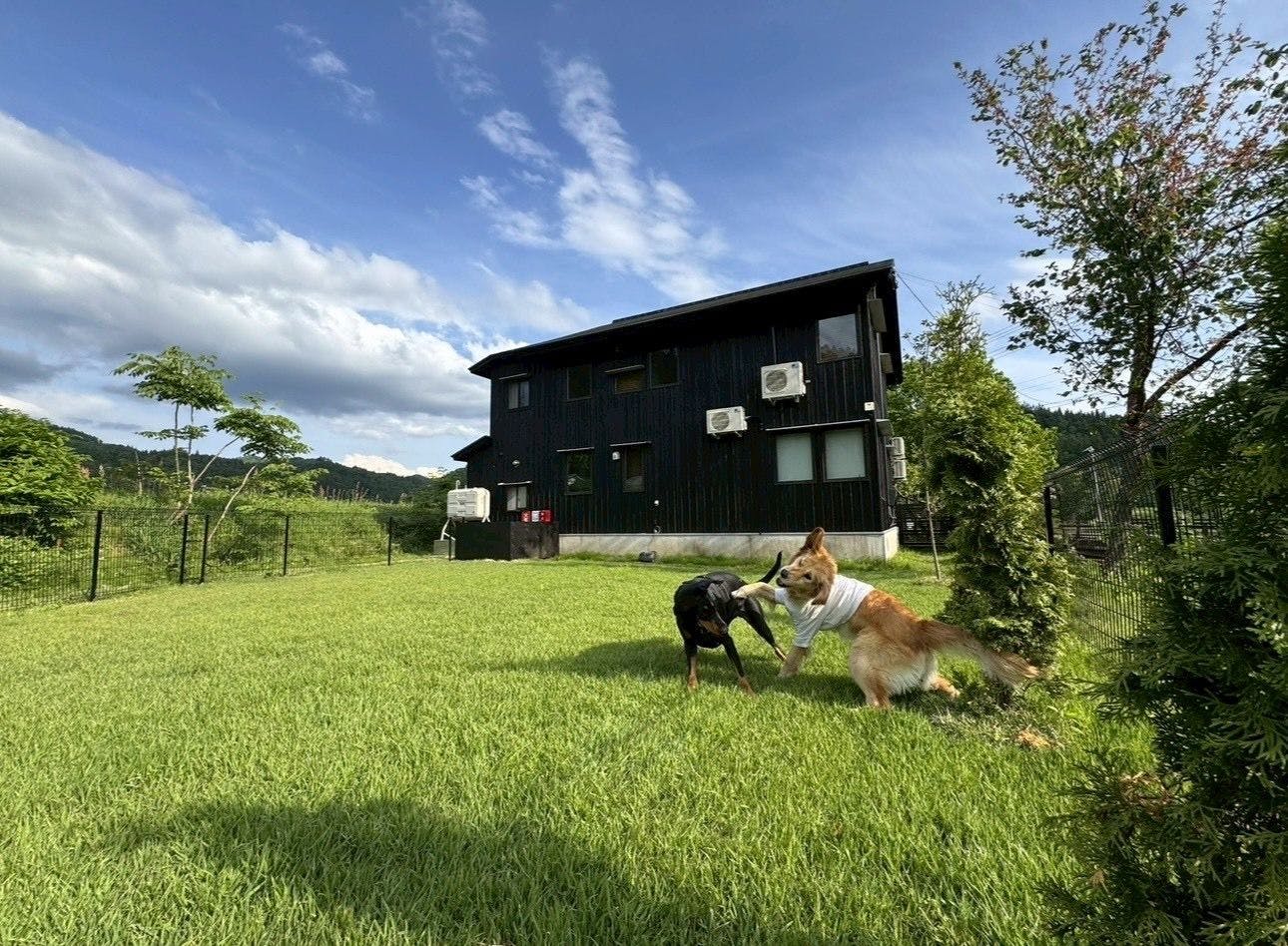 Dapat menginap bersama anjing Anda