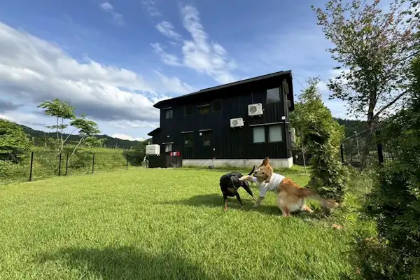 Dapat menginap bersama anjing Anda