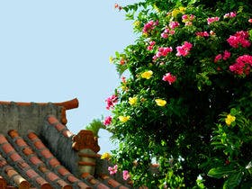 ザ・ナハテラス