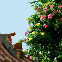 在藍天之下盛開的五彩繽紛的花朵