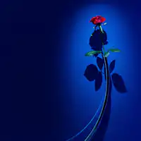 1F エントランス